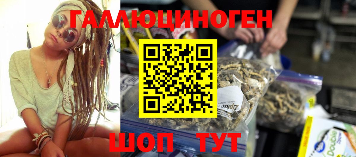 Псилоцибиновые грибы Cubensis Барнаул